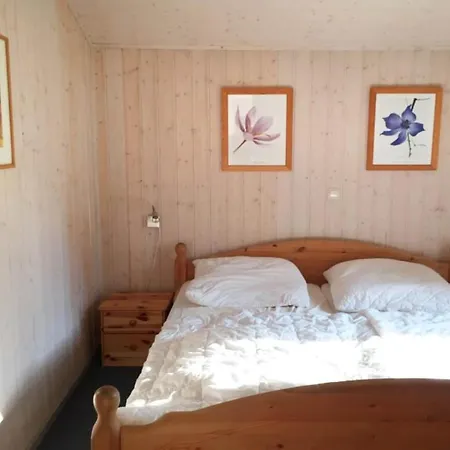 Mit Sauna Im Mirow *