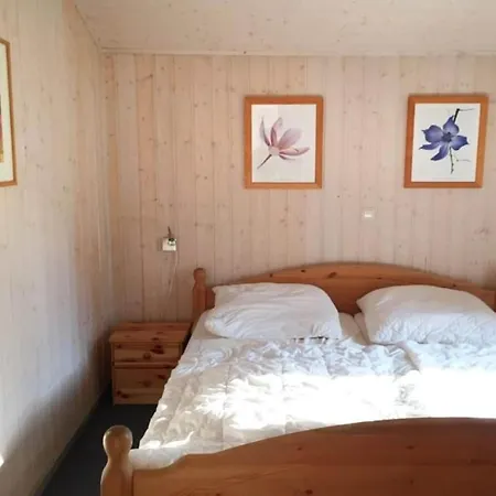 Mit Sauna Im Mirow